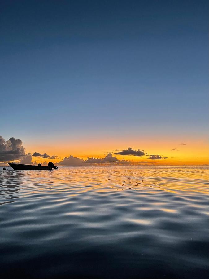 Sunset Appart, T2 Avec Vue Mer Et Plage A 1 Km Le Carbet Ngoại thất bức ảnh